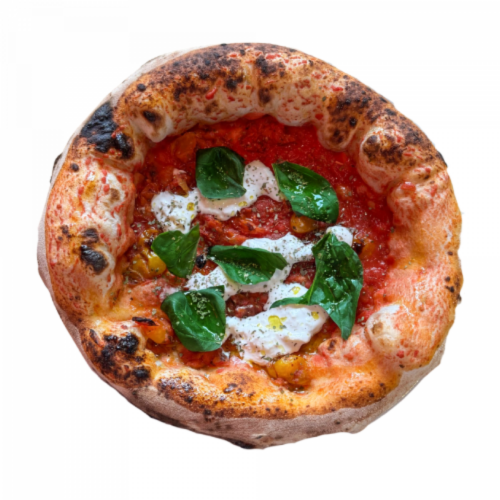 Santa Marinelle